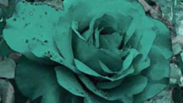 Enya ~ ♫ China Roses ♫