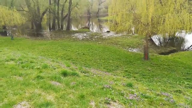 Брестская крепость смотреть онлайн