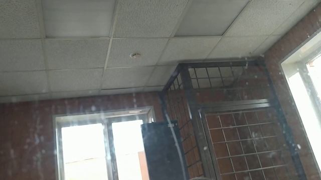 #самоизоляция#2 батальон#Дмитров смотреть онлайн