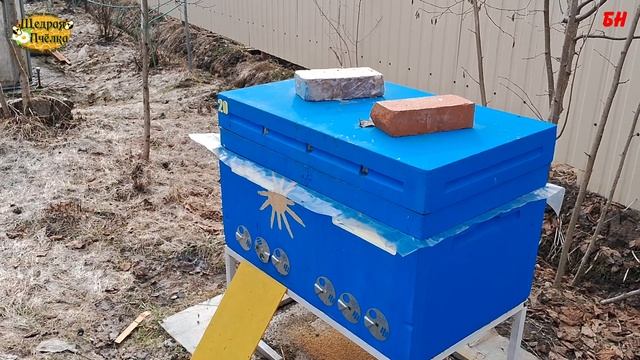 ПЧЕЛОВОДСТВО, весна надо утеплять семьи или нет смотреть онлайн