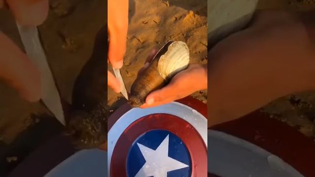 It’s really fun to catch seafood, catch crabs, catch octopus, catch fish, Catch seafood C 308 смотреть онлайн