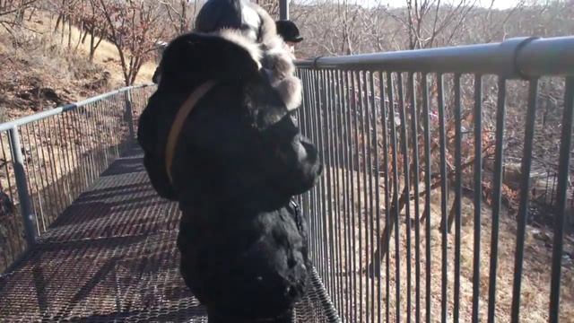 Сафари парк