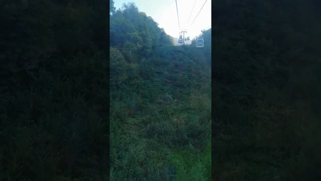 Отправить смотреть онлайн