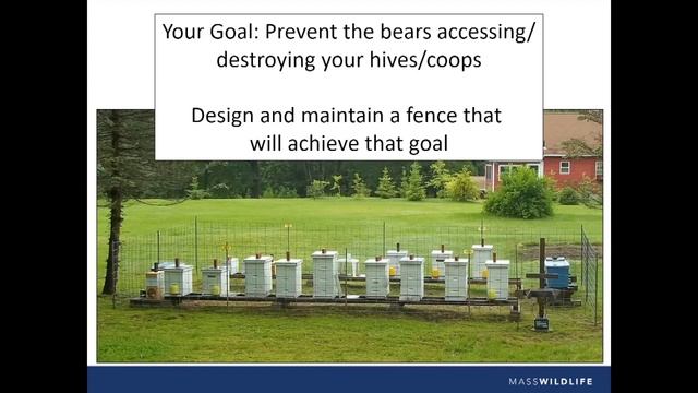 Halifax TRIAD - MassWildlife: Black Bear Presentation - November 7, 2023