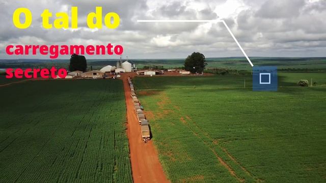 Safra 2024, Scania, Unaí MG