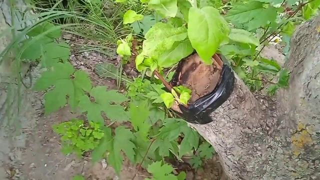 Результаты прививок 2023 смотреть онлайн