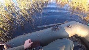 Нашли место где утки много! Охота на северных уток! Осенняя охота на утку,гусей. Охота на утку.