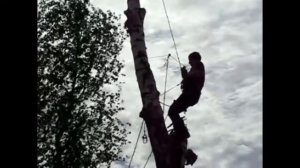 Как Спилить Дерево с Верху Вниз - Жизнь в Деревне