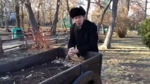 Басни Крылова «Волк и Ягнёнок» читает Станислав Шалункин