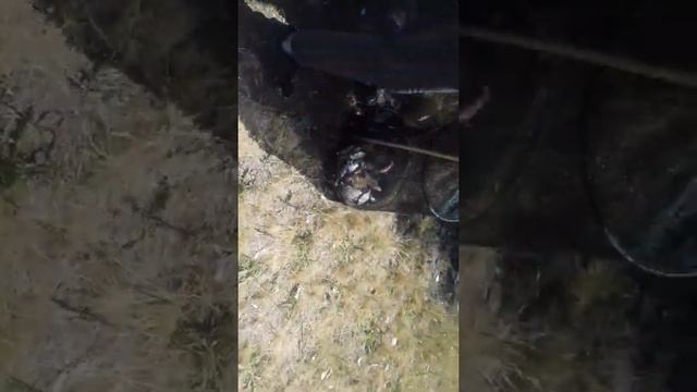 Фидер,как ловить на фидер,секреты фидера.