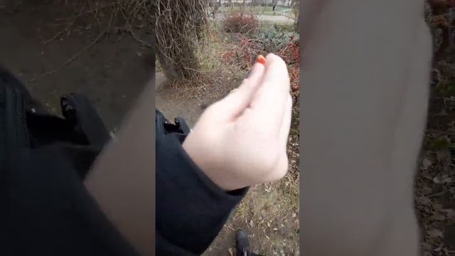 СДГД (Cвiт до гори дриґом) #2 - Нигерия (02.01.2023)