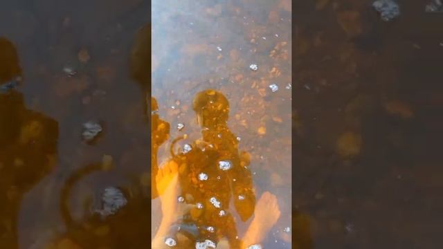 Ловлю рыбу руками(вспомнил 90-е) смотреть онлайн