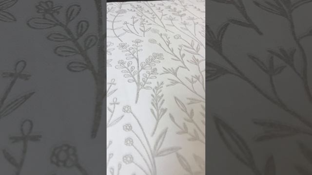 Коллекция Сухоцвет