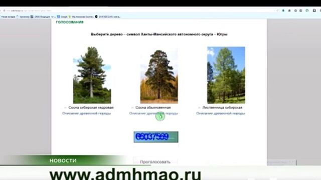 Голосуй за растение-символ Югры смотреть онлайн