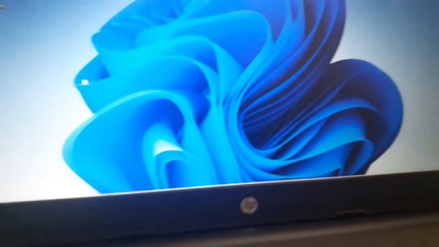 Windows To Go Bug on Windows 11 trying BSOD Black screen of death смотреть онлайн