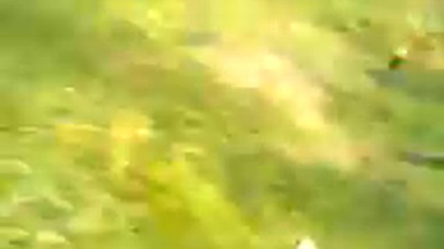 Димка на рыбалке