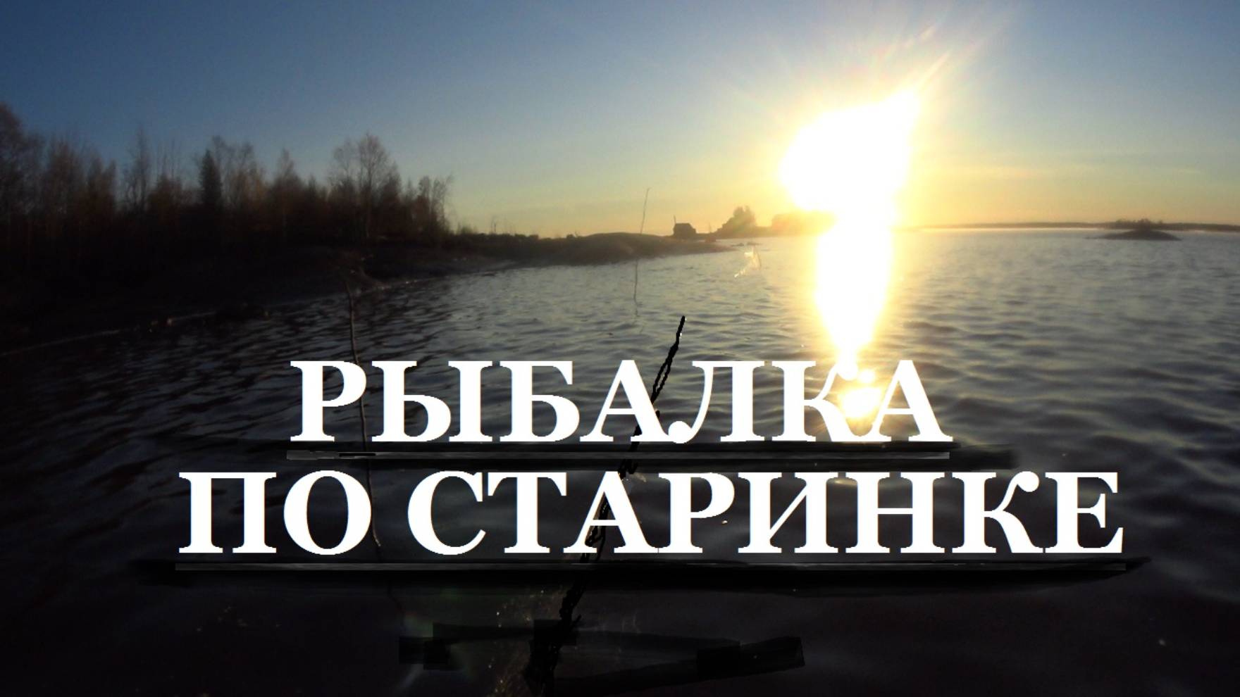 ВЕЙЛУДА ПОПАЛО КАМБАЛЫ ХАРИС! смотреть онлайн