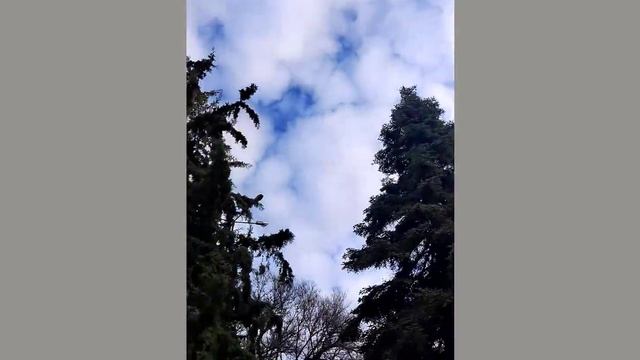 Что происходит возле могилы Айвазовского смотреть онлайн