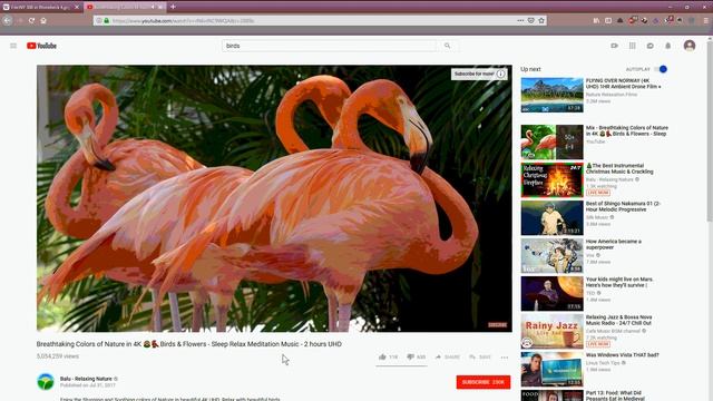 Capture Ashampoo Snap 10, Preset: Capture a typical Windows Application смотреть онлайн