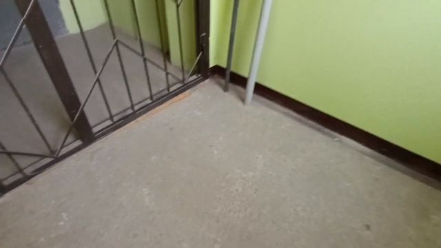 Лифт в моём подъезде! Лифт (МЛЗ - 1995 г.в.) смотреть онлайн