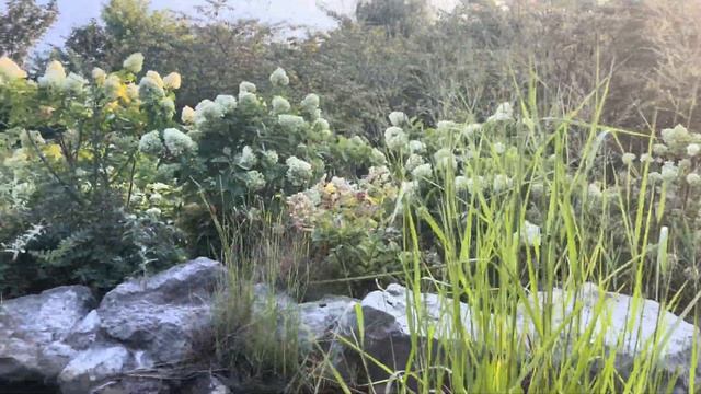 Японский сад в Ялте смотреть онлайн