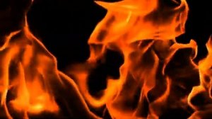 Шум заставить вора отдать украденое