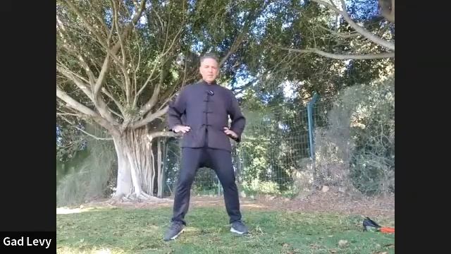 Dantien as spinning energy Masterclass by Gad Levy Golan смотреть онлайн