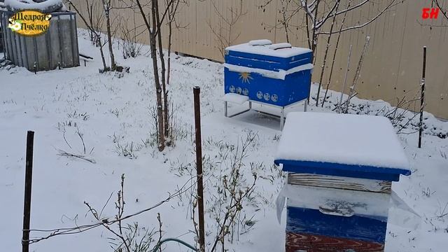 апрель зима на пасеке а мы спокойны смотреть онлайн