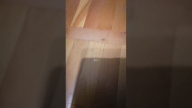 Страшный скример! #shorts смотреть онлайн