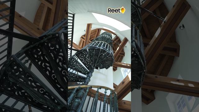 Reet Spotlight Full Video! Clovis Castle #reet #southasian #desi #indian #southasianweddings смотреть онлайн