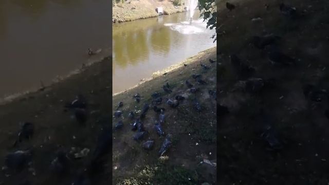 Поездка в Казань/ Воспоминания о лете 2021 💃🌺☘️