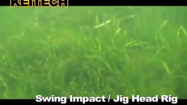 Обзор приманок KEITECH Swing Impact