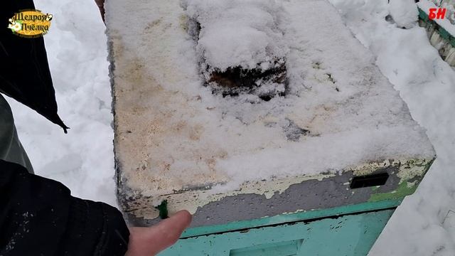 зимовка пчел, декабрь, корректируем вентиляцию, пустой корпус сверху смотреть онлайн