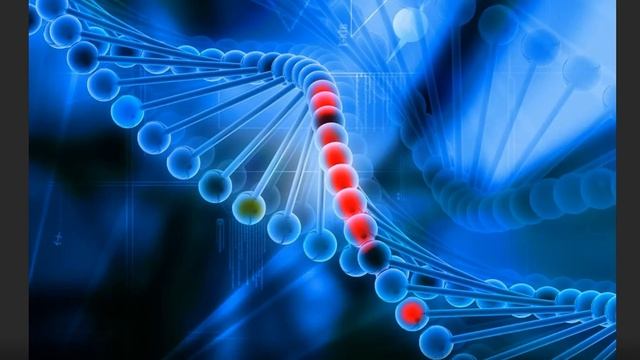 CRISPR-Cas9 сделала стволовые клетки «невидимыми» для иммунной системы