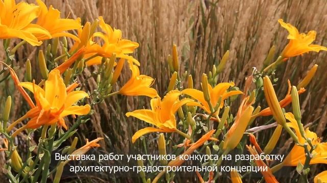 Анонс. Эко-Берег в Волгограде. 25-27 августа 2022 смотреть онлайн