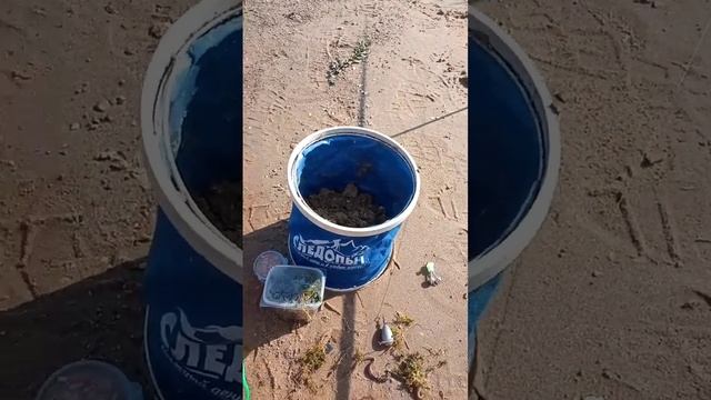 рыбалка на Волге пытаюсь поймать здоровенного сома смотреть онлайн