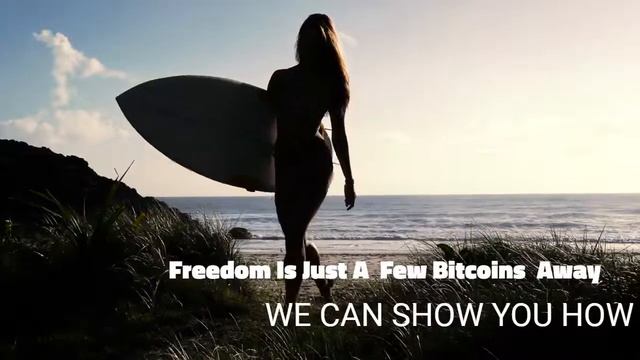 Surfs Up смотреть онлайн