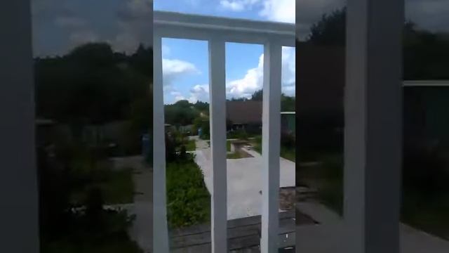 Опять ДИКИЕ ОСЫ!!! смотреть онлайн