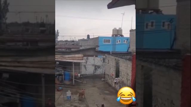 приколы смотреть онлайн