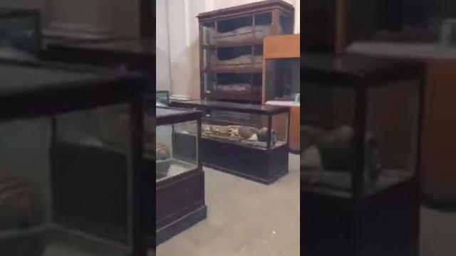 МОЛНИЯ из перескопа! Мощное Каирский Музей смотреть онлайн