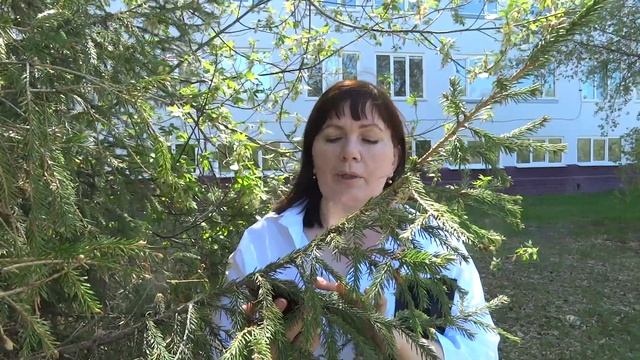 К юбилею Михаила Булгакова смотреть онлайн