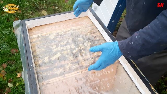 пчеловодство, как помочь Владимиру Жукову, кто прав кто виноват смотреть онлайн