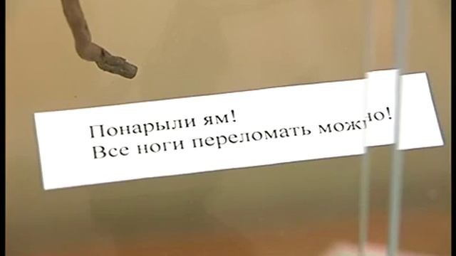 Новые выставки в Путевом дворце. 05.2006 смотреть онлайн