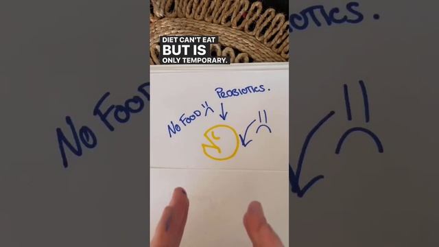 FODMAP friendly Prebiotics - Monash University Approved смотреть онлайн