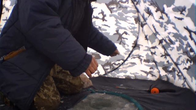 Безмотылка в палатке