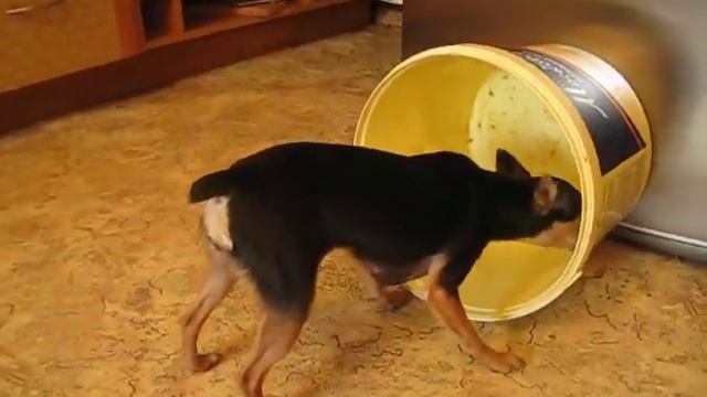 Хочешь жить - умей есть.