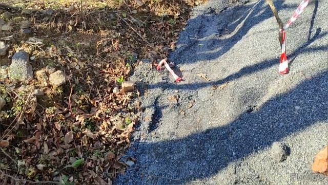 24.10. 24. ЕЗДИЛИ В АРТЕМ- СДАЛИ ДОКУМЕНТЫ /// ЧТО Я ШЬЮ./// смотреть онлайн