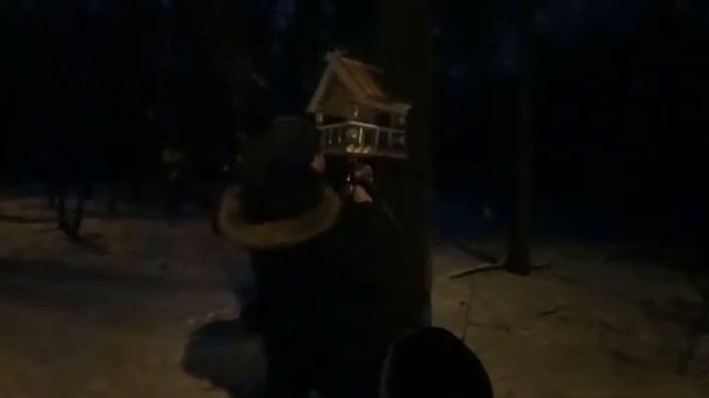 Вешаем смотреть онлайн