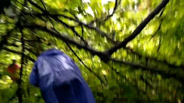 Демидовский завод. Demidov plant.