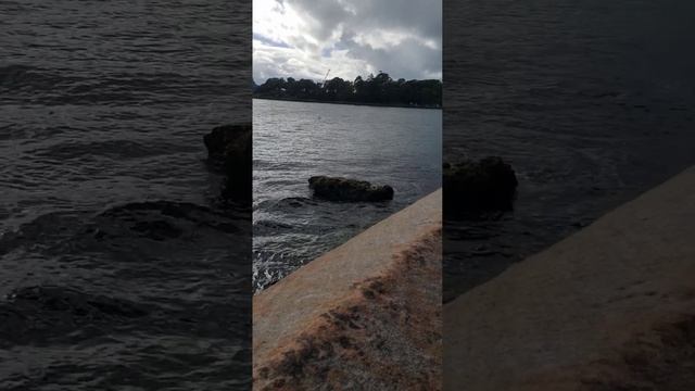 прогулка по набережной, возле Оперы. #австралия 🇦🇺 #опера #набережная #прогулка смотреть онлайн